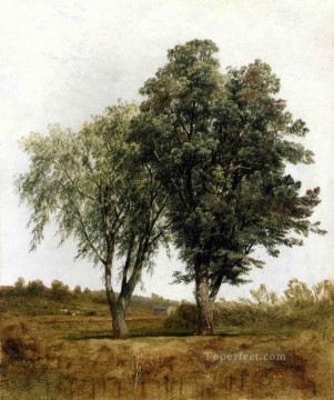 Paisajes Painting - Un estudio del paisaje de los árboles John Frederick Kensett